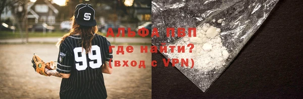 хмурый Абаза