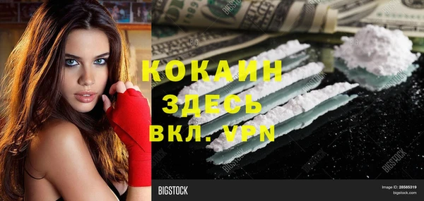хмурый Абаза