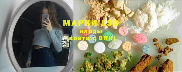 винт Алзамай