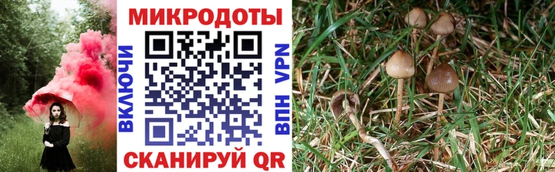 мега ТОР хочу наркоту Иркутск Галлюциногенные грибы прущие грибы