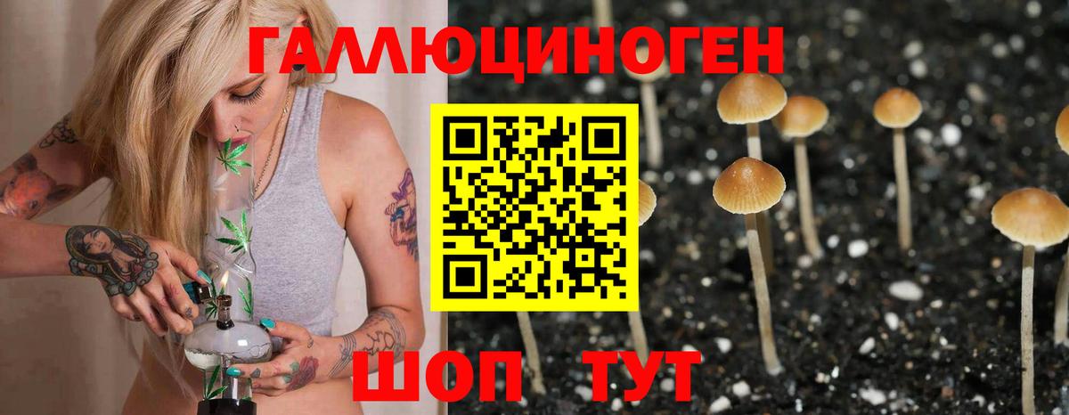 что такое   Вход с VPN  Иркутск  Псилоцибиновые грибы прущие грибы 